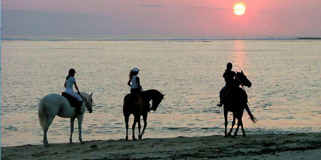 Morne horse beach ride mauritius (10)